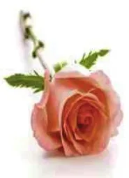 Portrait von Marie-Anne Marcelle Kiefer-Hever