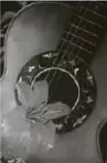 Portrait von Germaine Alff-Wolter