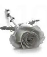 Portrait von Anny Mandé