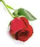 Portrait von Marie-Josée Geisen-Winckel