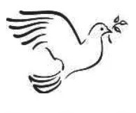 Portrait von Pol Turpel