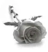 Portrait von Marie Wilmes-Burelbach