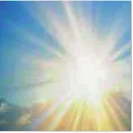 Portrait von Jean Wirtgen