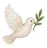 Portrait von Simone Royer-Friederich