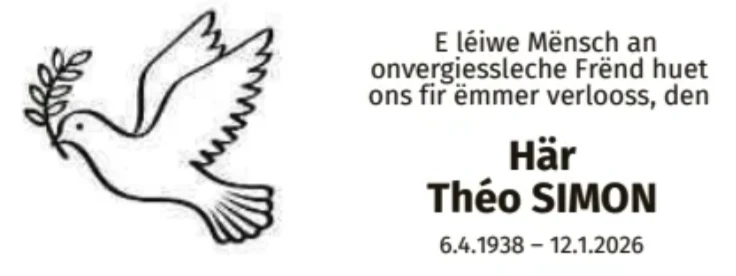 Traueranzeige für Théo Simon